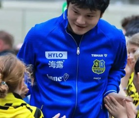 1人狂揽2分！樊振东德甲力挽狂澜，球队却23惜败，林高远即将赴欧