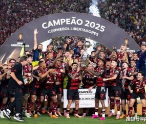 老将主帅齐封神！弗拉门戈解放者杯夺冠，创造三大足坛史诗级纪录