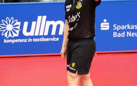 为什么德甲联赛开赛至今没有任何关于樊振东的采访？