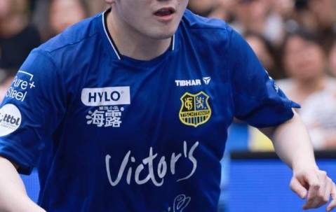 樊振东立功！德甲升至第三，距榜首仅差2分